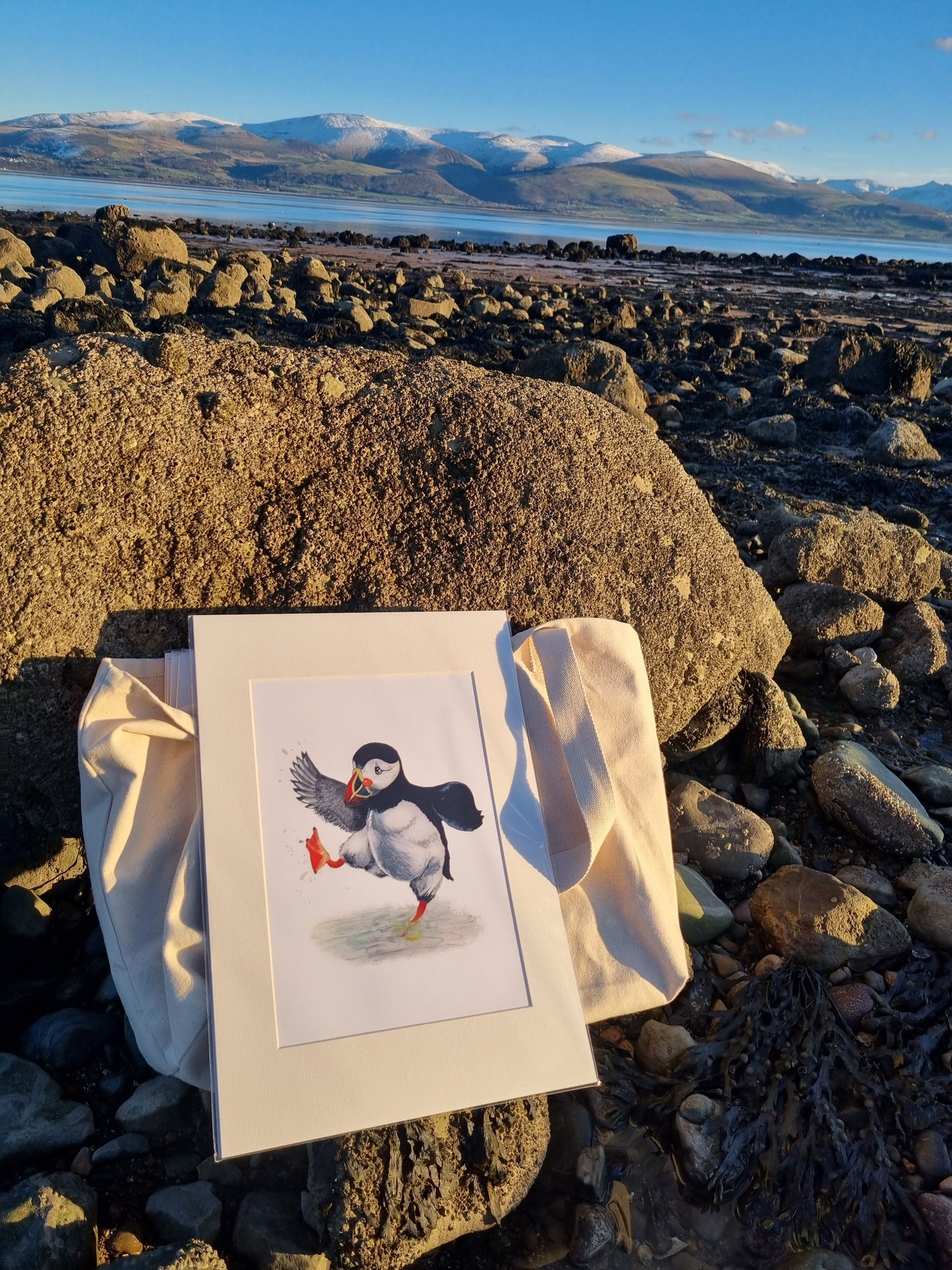 Mounted Paddlin’ Puffin Print
