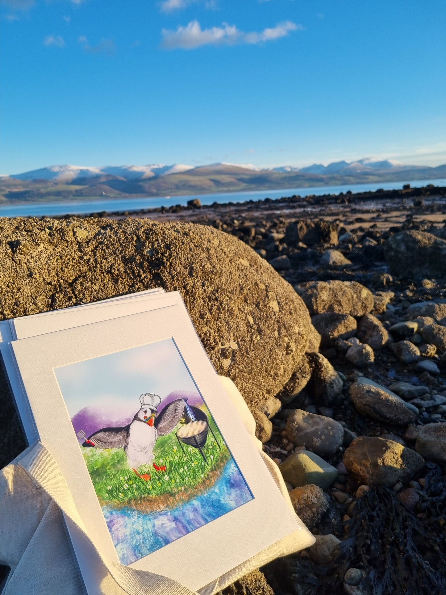 Mounted art print of a puffin cooking a fish on a barbecue, quirky coastal kitchen or summer BBQ decor. Illustrated on Anglesey by Welsh Coastal Artist Rachel Bennett.