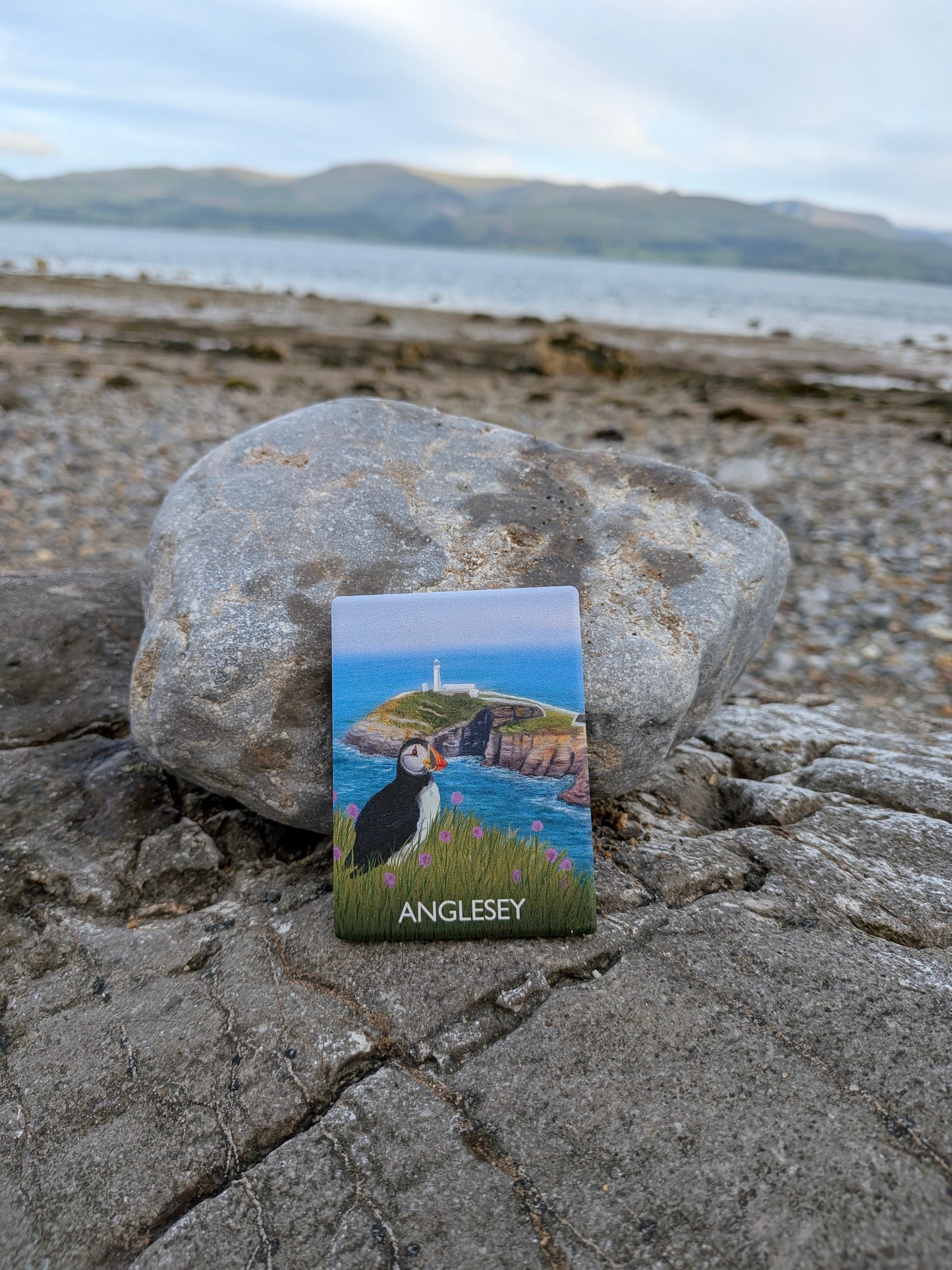 Puffin Prints Ceramic Artist Print Magnet - Southstack Puffin Anglesey