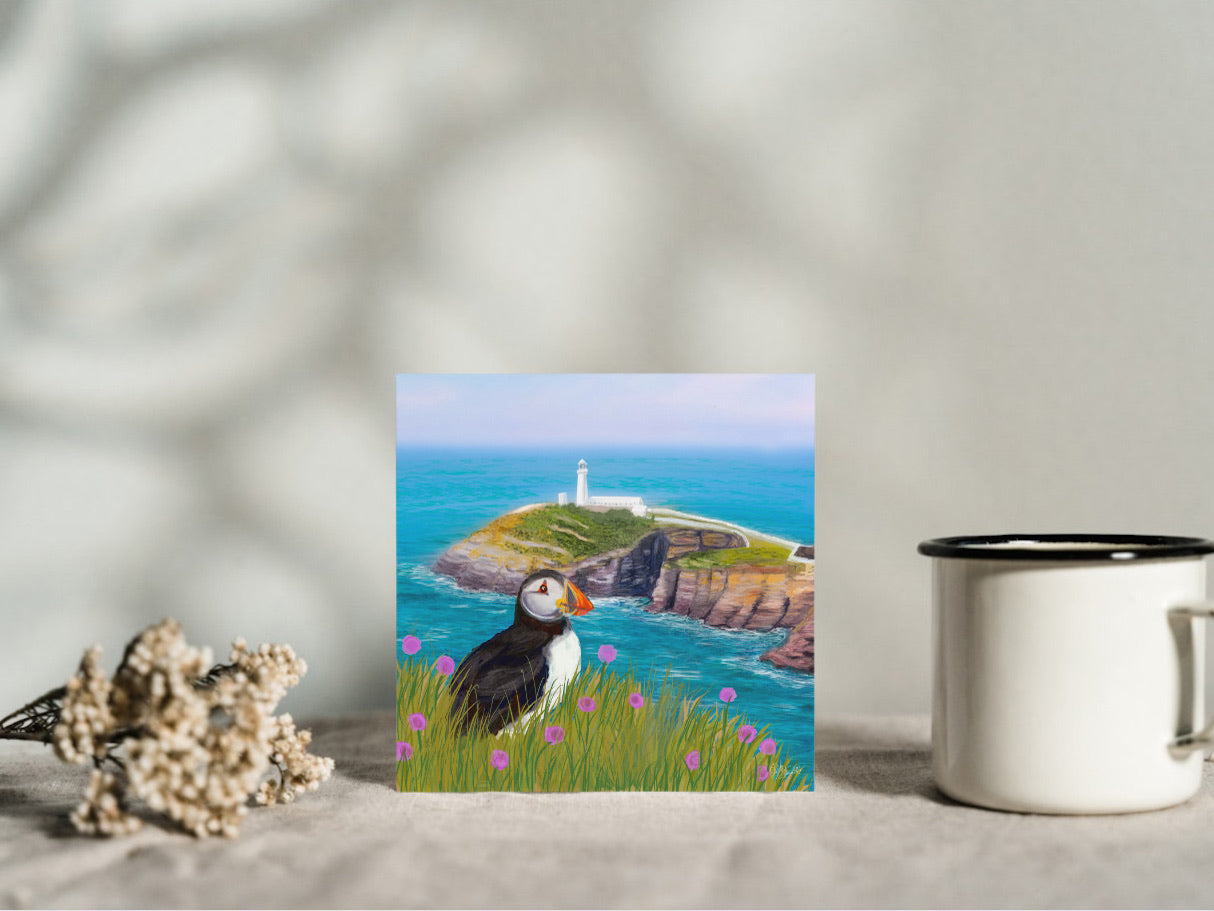 south stack lighthouse puffin artist sea wildlife puffin card bird art present gift