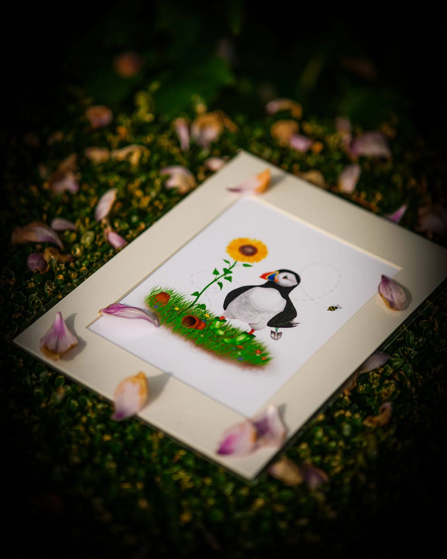 This puffin art is titled Potterin’ Puffin, because this puffin in his sunflower garden with his plant pot and ladybird friend is pottering around in his wellies!
A hand-painted puffin illustration, watercolour art of a puffin.
Painted on Anglesey by Welsh coastal/puffin artist Rachel Bennett