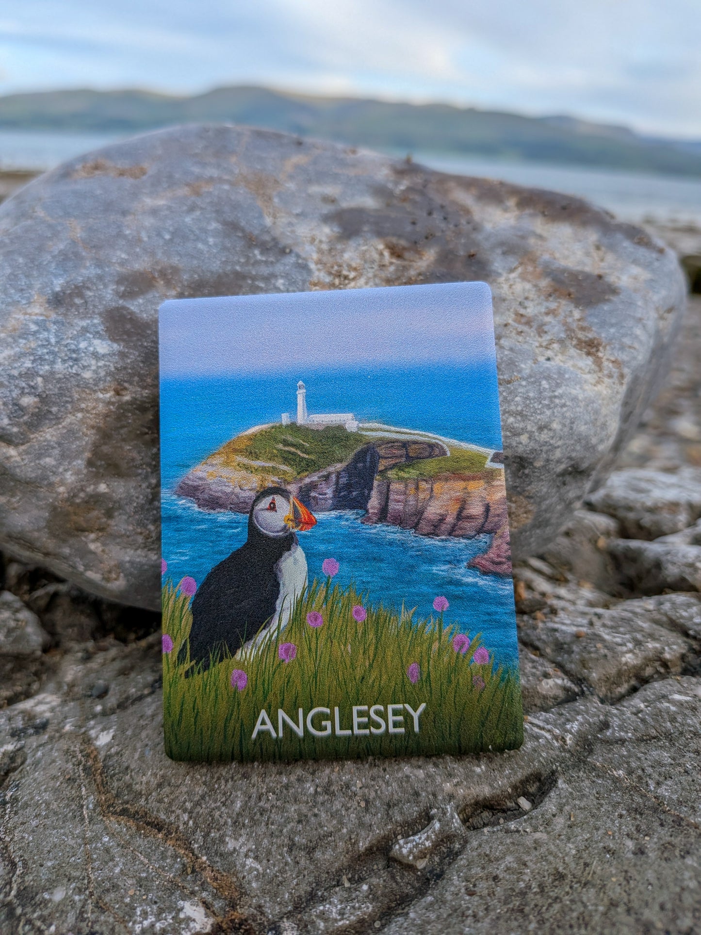 Puffin Prints Ceramic Artist Print Magnet - Southstack Puffin Anglesey