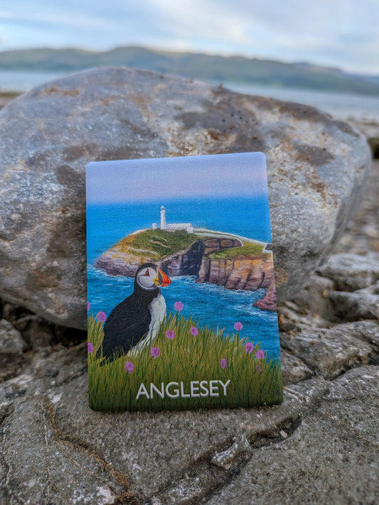 Puffin Prints Ceramic Artist Print Magnet - Southstack Puffin Anglesey