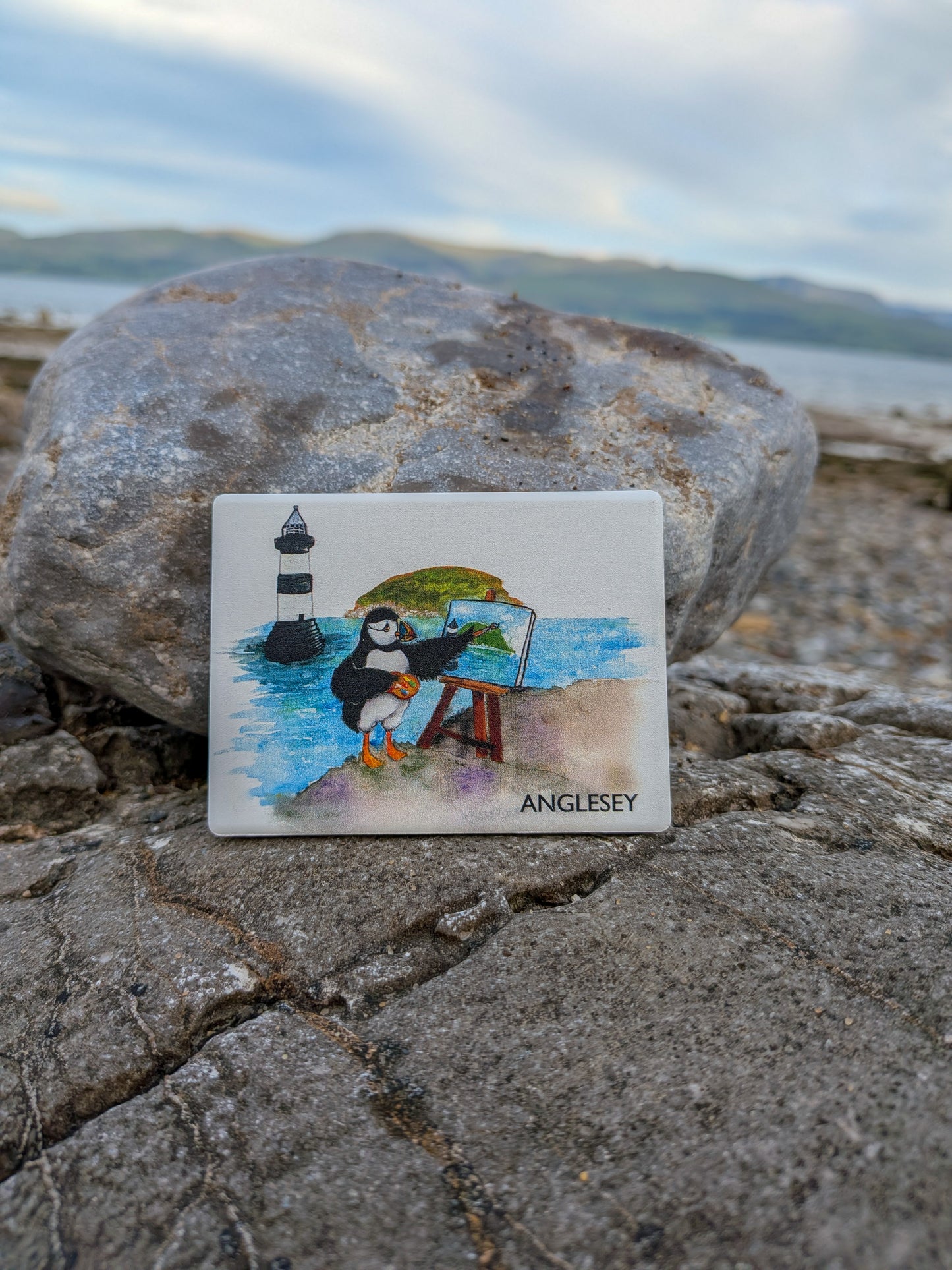 Puffin Prints Ceramic Artist Print Magnet - Paintin’ Puffin Anglesey