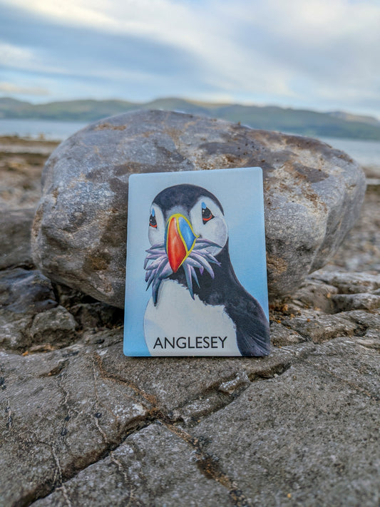 Puffin Prints Ceramic Artist Print Magnet - Stuffin’ Puffin