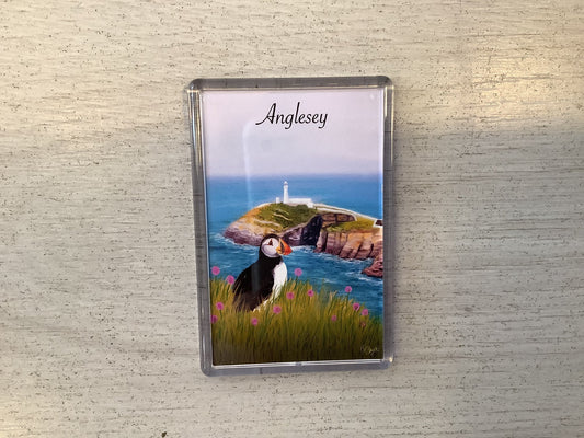 South Stack Puffin Artwork with ‘Anglesey’ text Magnet