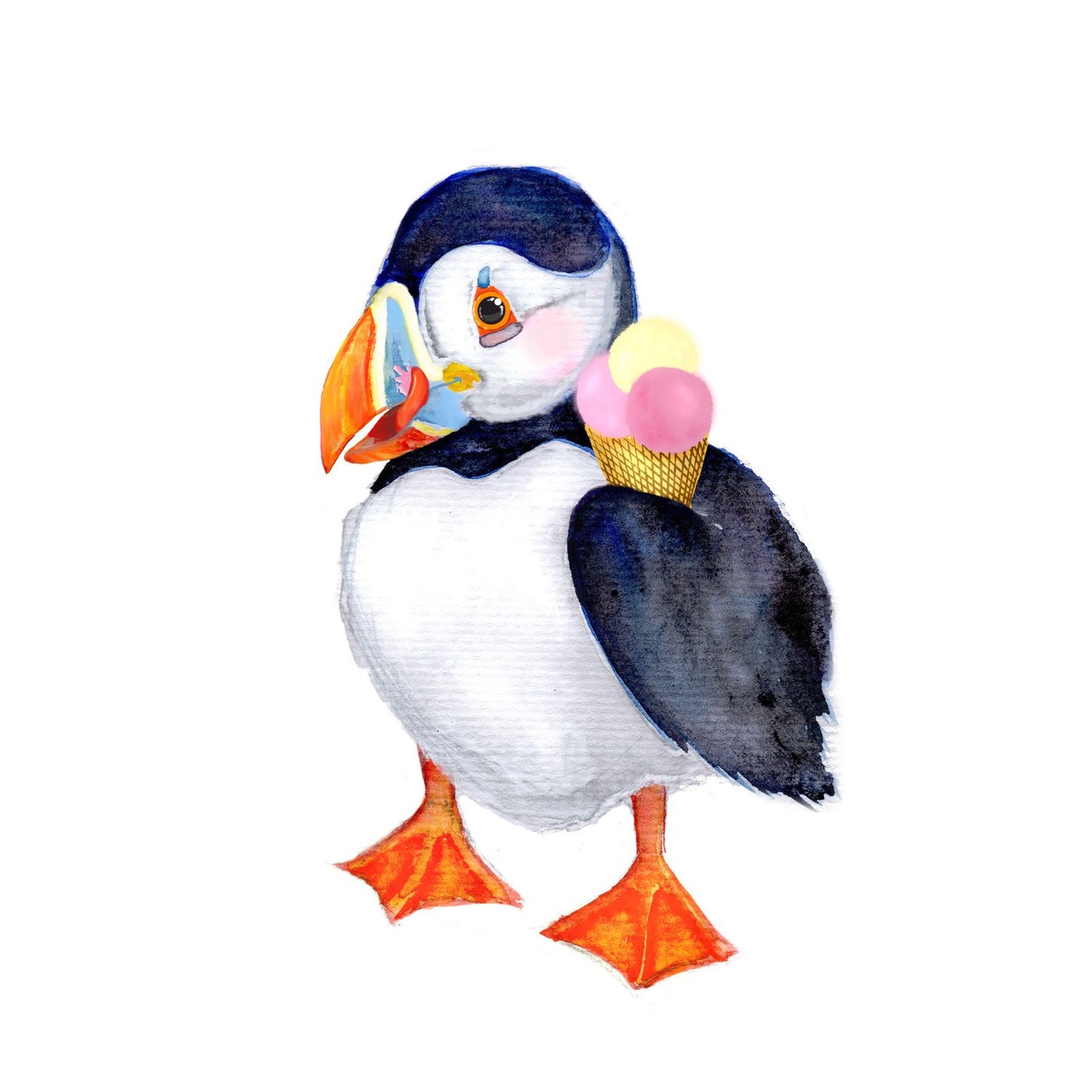 Puffin Delight Card