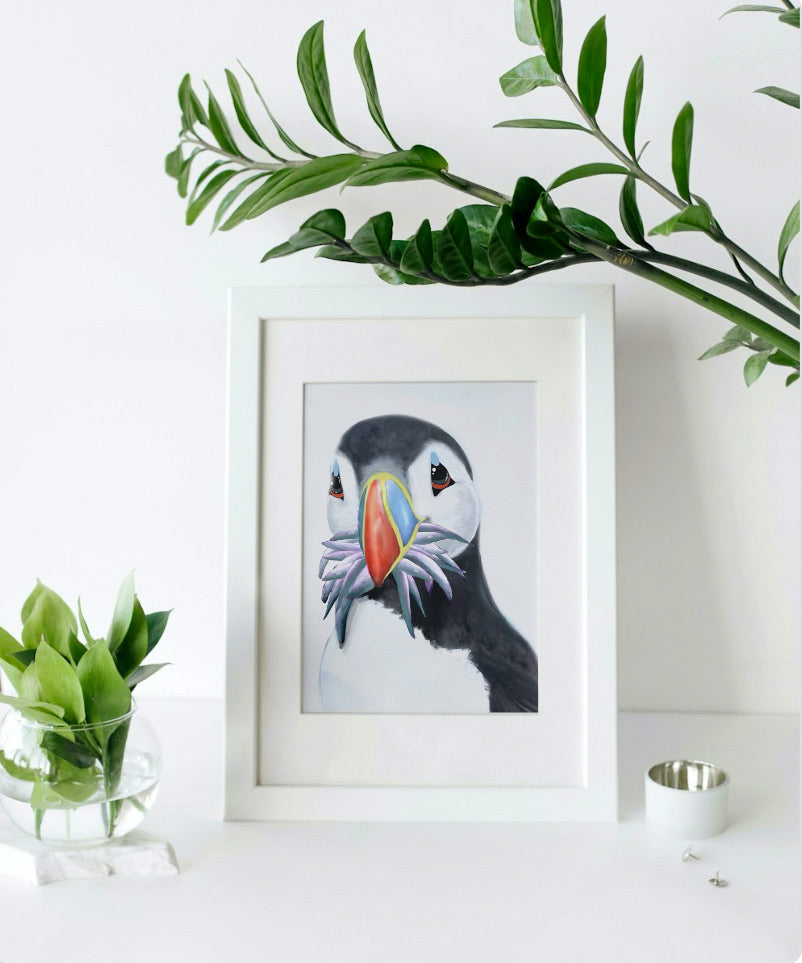 Framed artwork of a puffin with fish in mouth on a white surface 